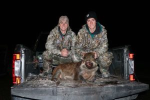 Twin brother boar hunt, loading fresh kill into truck