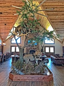 taxidermy animal scene in the middle of lodge | Hooville Ranch hunting and lodging